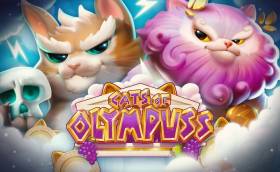 Push Gaming Unveils Its First 243 Ways Slot with Cats of Olympuss